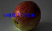 技鋼獲 2.72 億美元訂單，助 Datasection 建立日本首座 AI 運算叢集